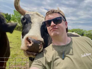 Edward in sunglasses beside a black and white horned cow leaning over a fence in a green field
