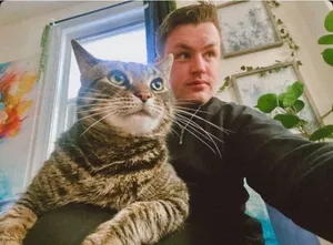 Edward holding Harry, a large grey tabby cat, in a bright room with framed art and a trailing houseplant