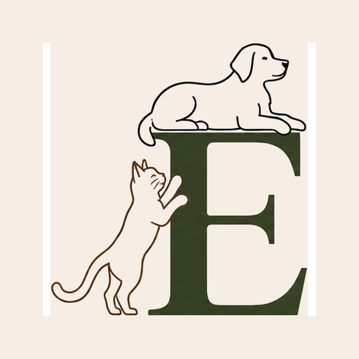 Edventures Pet Sitting